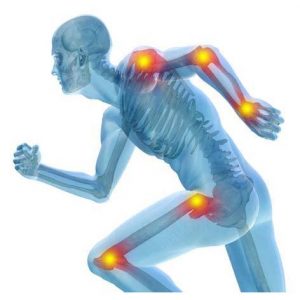 SISTEMA OSTEOARTICULAR